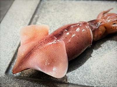 移ろう食材たち