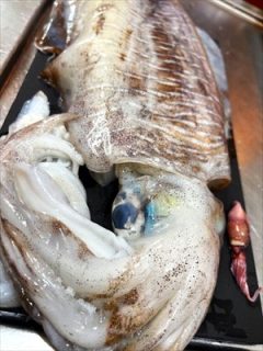 清々しき季節！