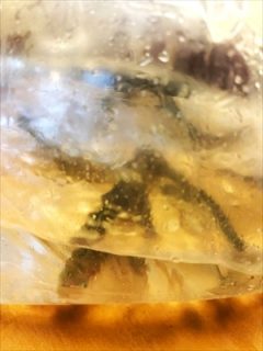 活の稚鮎　塩焼きで！