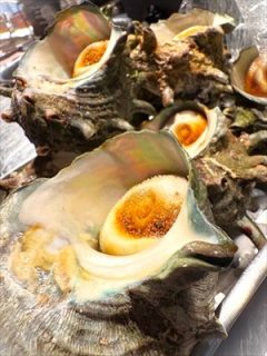 様々なリクエスト！