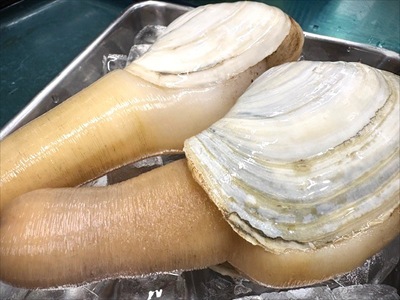 立秋　涼風至
