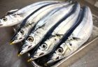 美味しいもの　盛りだくさん！