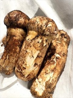 秋と言えば・・・