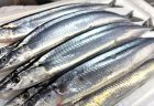 福島の銘酒たち