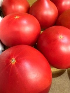 よく食べて　百薬の長を添えて