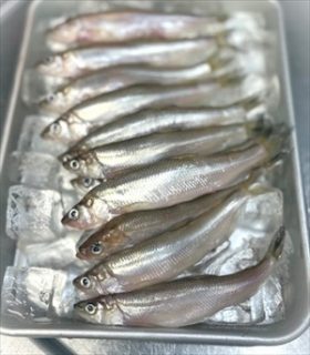 日本の季節は動いています！