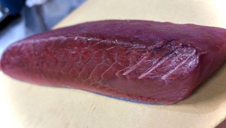 鰹　戻らず・・・