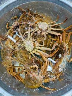 ズワイガニ漁　解禁