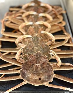 嬉しいことをする！！！