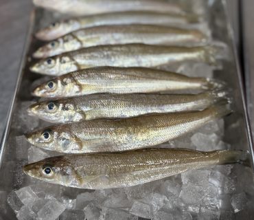 仕入れた子たちに感謝して！