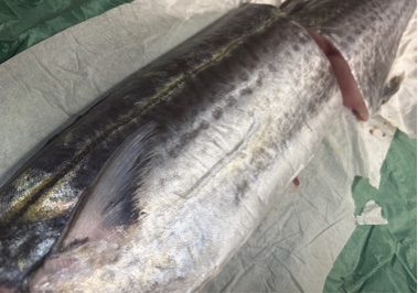 少しでもお役に立てれば…