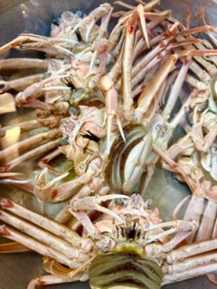 忙しなくても　噛み締めて