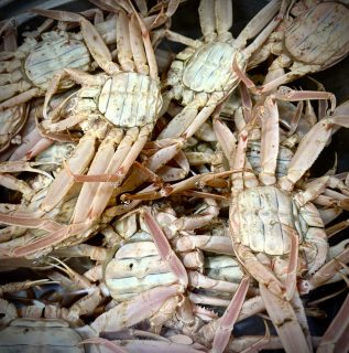 ルーティンと変化