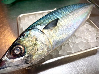 蟹鍋　あんこう鍋