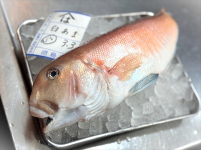 漁師さんに感謝のスタート