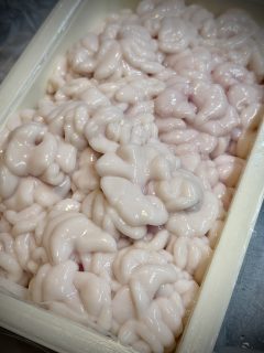 信州地酒で乾杯の日