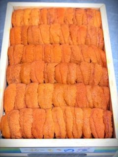 古代ローマの２月