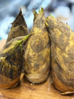 啓蟄　春の香り