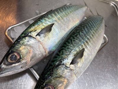 安定の仕入れに感謝